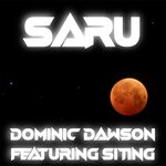 Saru (Original Mix)