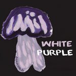 White Purple