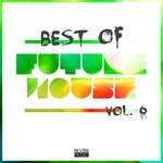 Best Of Future House, Vol 6