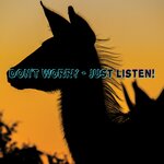 Don't Worry - Just Listen!