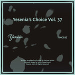Yesenia's Choice, Vol 37