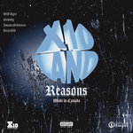 Reasons (Explicit)