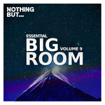 Nothing But... Essential Big Room, Vol 09