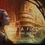 Just A Fool