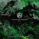 Collective Process Vol 7