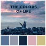 The Colors Of Life
