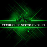 Techhouse Sector, Vol 13