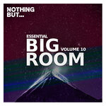 Nothing But... Essential Big Room, Vol 10