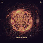 A Black Hole