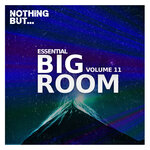 Nothing But... Essential Big Room, Vol 11