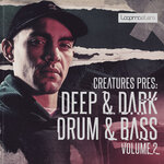 Deep & Dark Drum & Bass Vol 2 (Sample Pack WAV)
