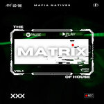 The Matrix Of House Vol 1 [Channel Your Mind]