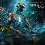 What Is Life (Ik?n Remix)