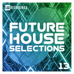 Future House Selections, Vol 13