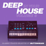 Deep In Your House Vol 9