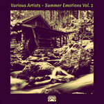 Summer Emotions Vol 1 (Explicit)