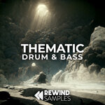 Thematic: Drum & Bass (Sample Pack WAV)