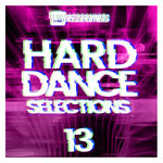 Hard Dance Selections, Vol 13