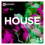 House Grooves, Vol 13