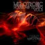 Melotronic House And Techno, Vol 8