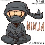 Ninja