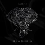 Social Pachyderm (Original Mix)