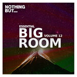 Nothing But... Essential Big Room, Vol 12