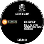 CORRDATA013 - Reduced To The Essence