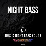 This Is Night Bass: Vol 15