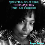 The DNA Injection (Vincent Ache' Afro Remixes)