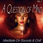 A Question Of Mind Vol 1 - Meditate On Sounds & Chill
