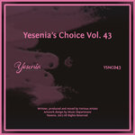 Yesenia's Choice, Vol 43
