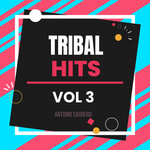 Tribal Hits Vol 3