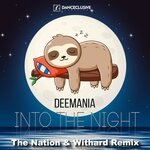 Into The Night (The Nation & Withard Remix)