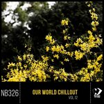 Our World Chillout, Vol 12