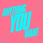 Anything You Want