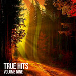 True Hits, Vol 9