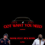 Got What You Need (Explicit)