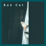 Box Cat (Remastered)
