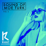 Sound Of Moe Turk, Vol 2