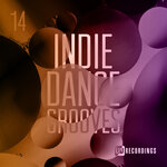Indie Dance Grooves, Vol 14
