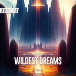 Wildest Dreams (Original Mix)