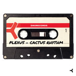 Cactus Rhythm (The Stunned Guys Remix)