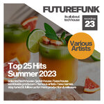 Top 25 Hits Summer 2023
