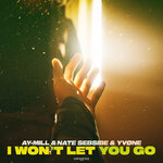 I Won't Let You Go (Extended Mix)