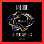 Melodic Techno Essentials, Vol 22