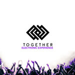 Together Electronic Experience, Vol 12