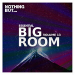 Nothing But... Essential Big Room, Vol 13