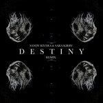Destiny (Remix)