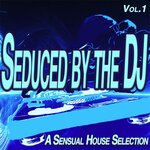 Seduced By The Dj, Vol 1 - A Sensual House Selection